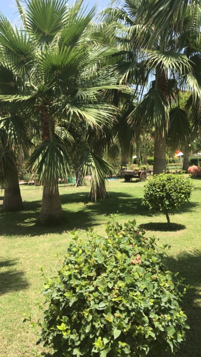 Gartenanlage Saphir Resort & Spa