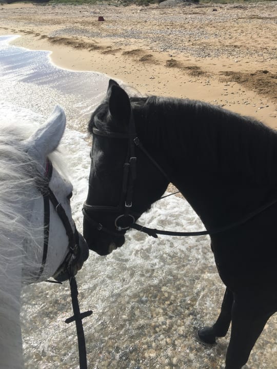 Strand Neptuno Beach