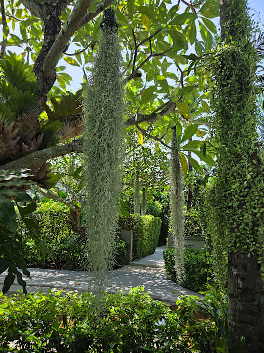 Gartenanlage Meliá Koh Samui