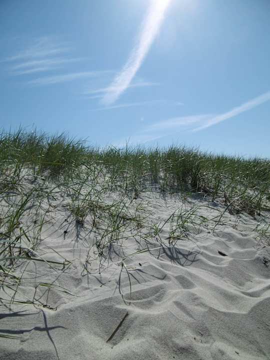 Herrlich Ferienwohnhung Strandschwalbe