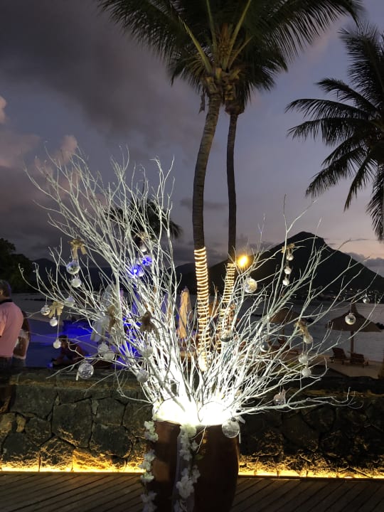 Gartenanlage Sands Suites Resort & Spa