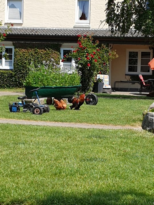Gartenanlage Ferienbauernhof Liesenberg mit Meerblick