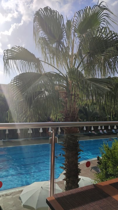 Gastro Telatiye Resort