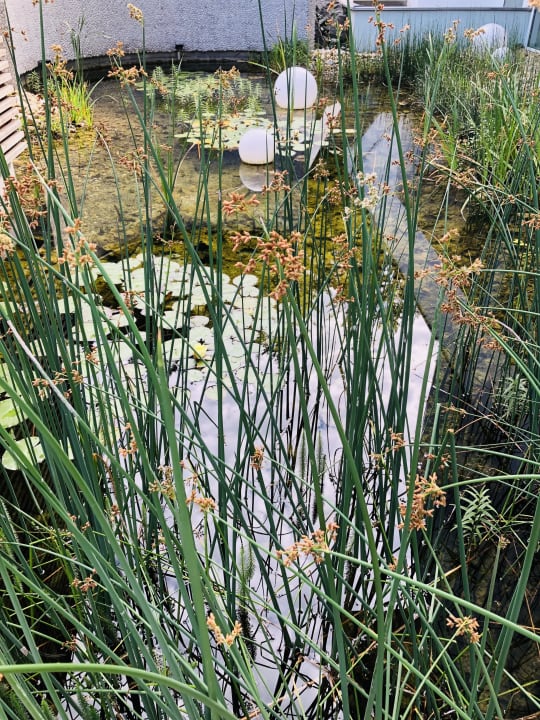 Gartenanlage Reduce Hotel Vital Bad Tatzmannsdorf