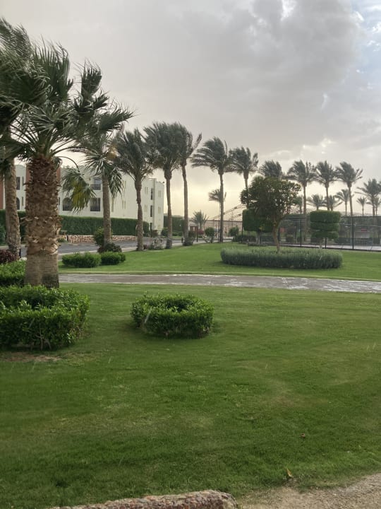 Gartenanlage SUNRISE Royal Makadi Resort