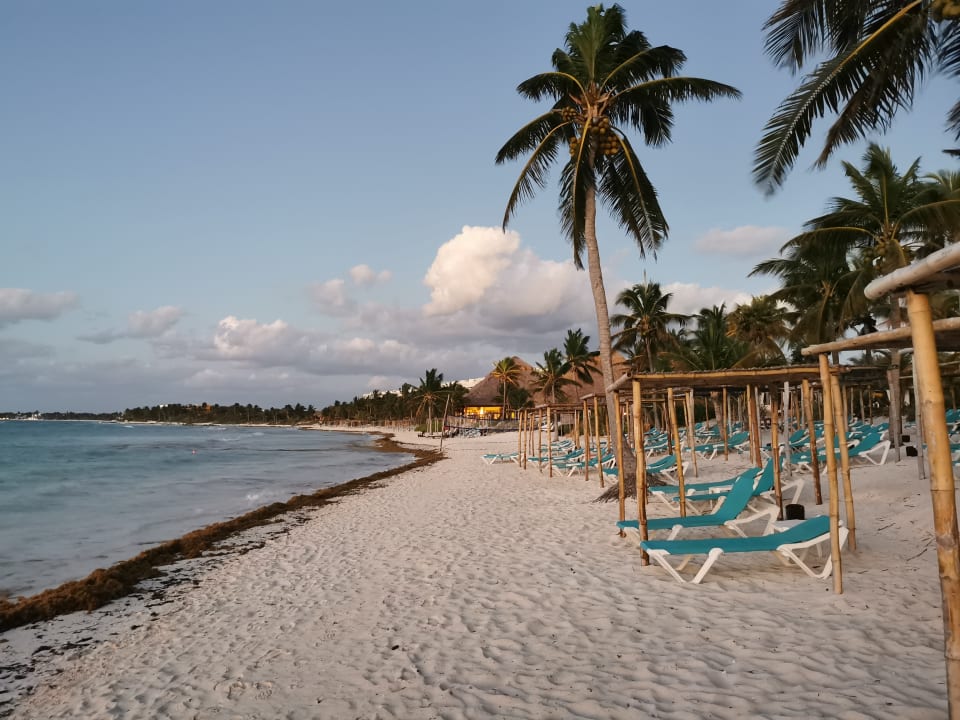 Strand Akumal Bay Beach & Wellness Resort