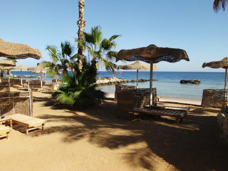 Hotel-Strand Pickalbatros Citadel Resort