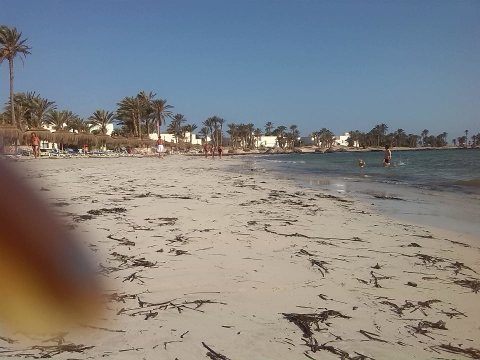 Strand Hotel El Mouradi Djerba Menzel