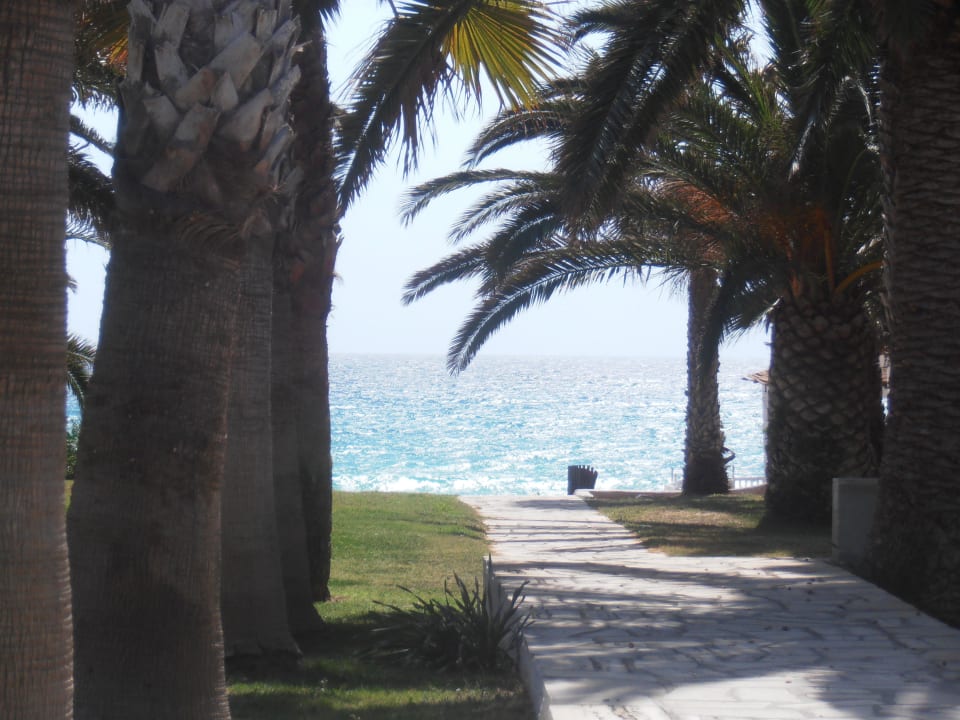 Hotel Nissi Beach Resort Hotel Nissi Beach Resort