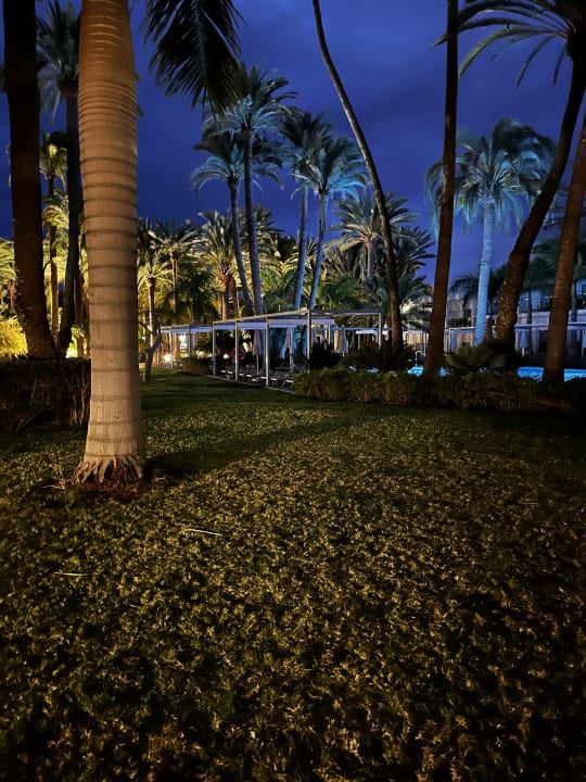 Pool Hotel Riu Palace Oasis