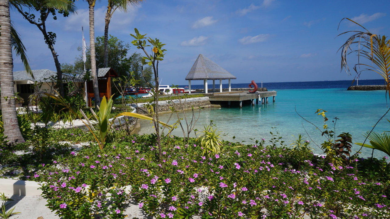 Schöne Bepflanzung Centara Ras Fushi Resort & Spa Maldives