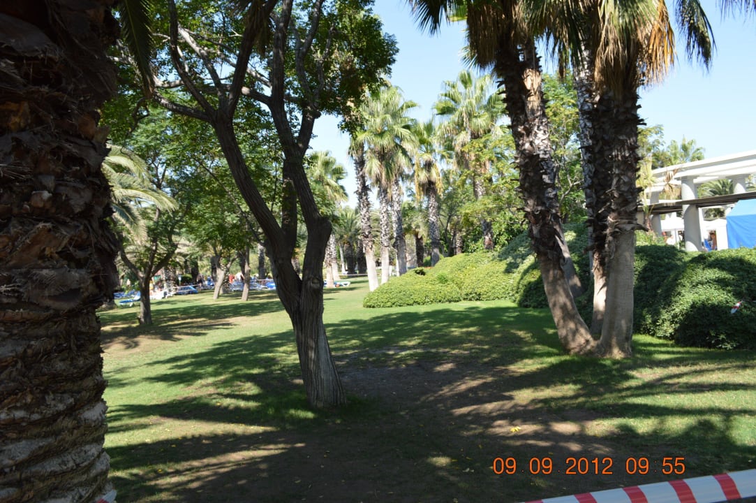 Ogród TUI Magic Life Belek
