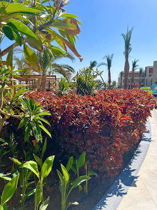 Gartenanlage JAZ Elite Riviera