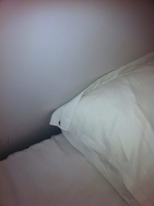 Dreckige Bettwäsche Hotel Marhaba Club