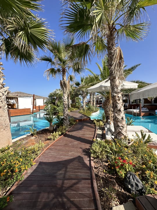 Gartenanlage Stella Island Luxury Resort & Spa