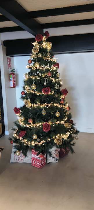 Lobby Dreams Jardín Tropical