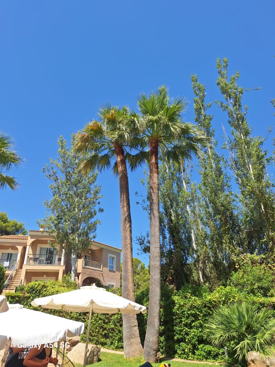 Gartenanlage R2 Lago Playa Park