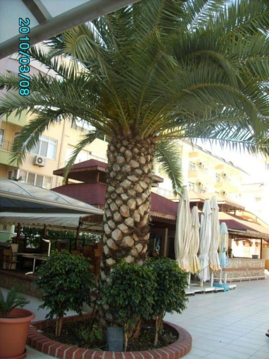 Poolbereich/Aussenbereich Hotel Kahya