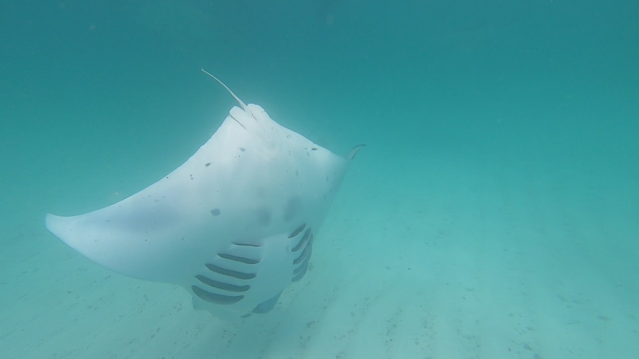 Sport & Freizeit NH Collection Maldives Reethi Resort