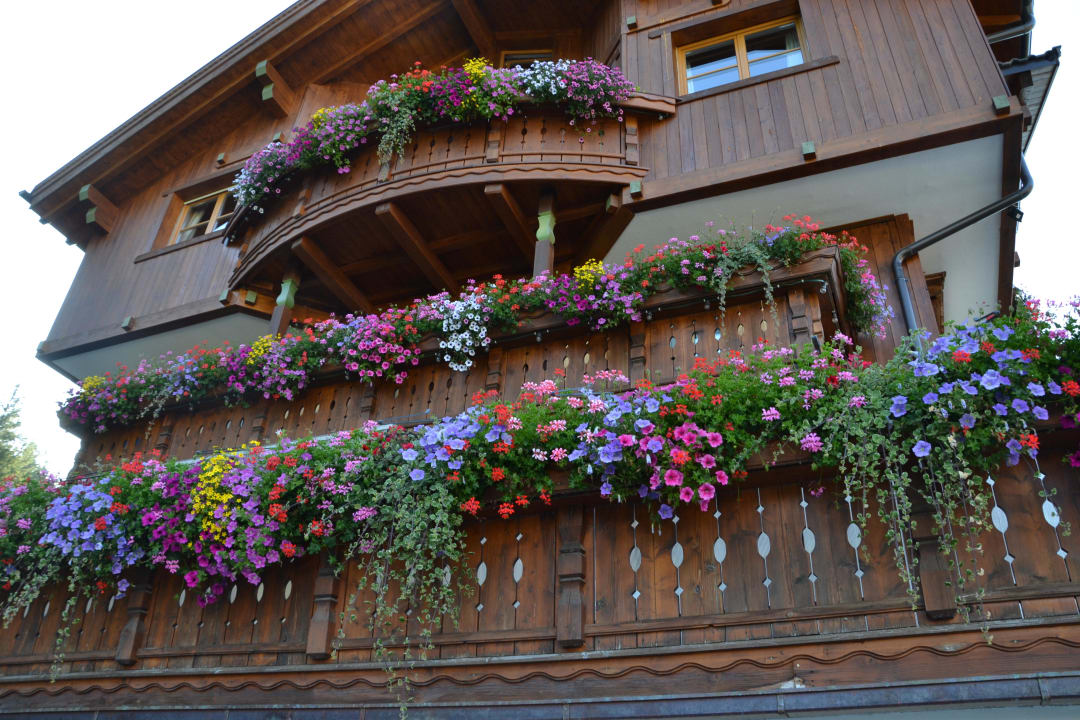 Cascata di fiori Aqua Bad Cortina - BIOhotel & Thermal Baths