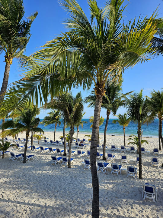Strand Hotel Riu Caribe