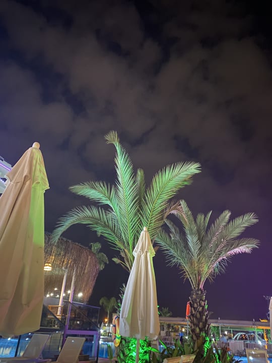 Gartenanlage Dream Water World