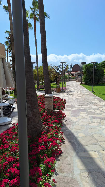 Gartenanlage Arum Barut Collection