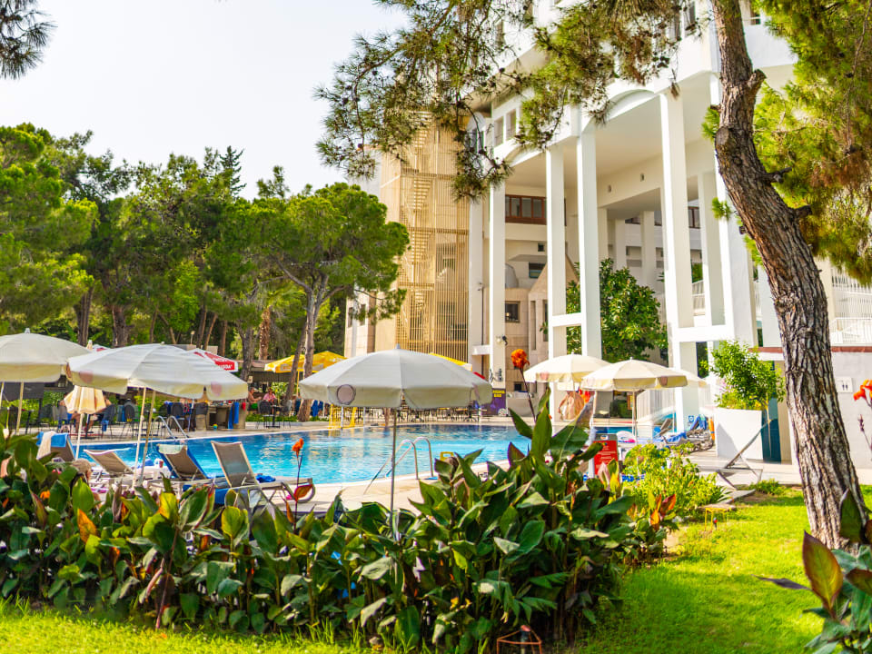 Pool Asteria Collection Side