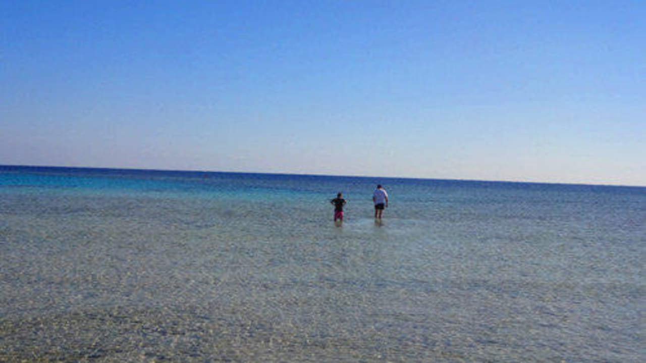 Italienische Rifftrampler Hotel Gorgonia Beach Resort