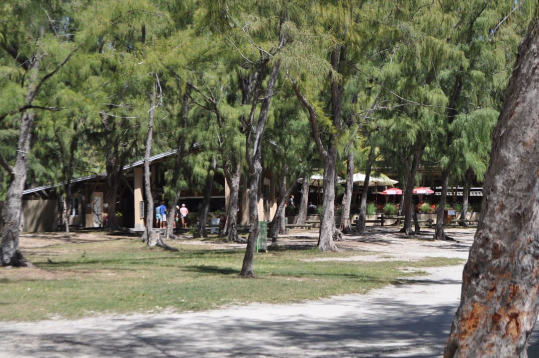 Die Strandbar Villa Seewoo