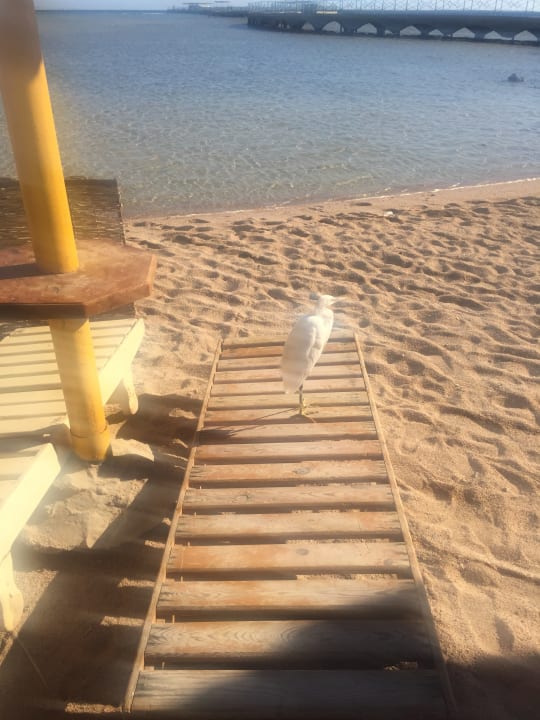 Strand Titanic Beach Spa & Aqua Park