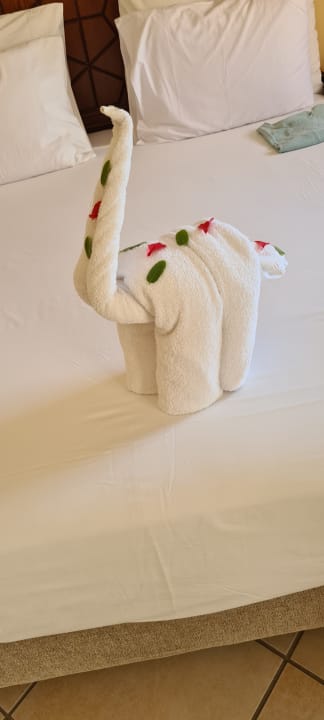 Zimmer Iberotel Makadi Beach