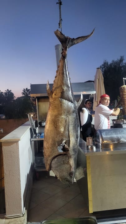 Gastro Sealife Buket Resort & Beach