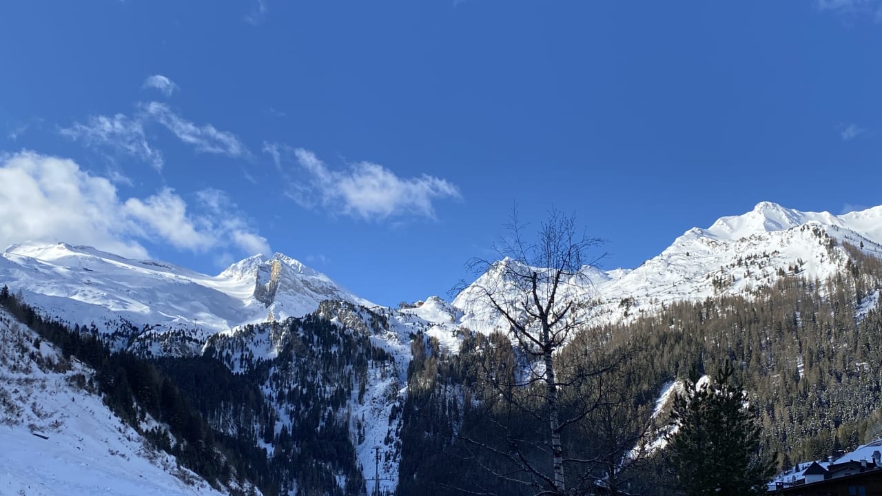 Ausblick Hotel Alpenhof