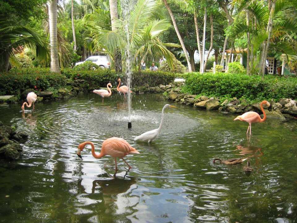 Teich vor dem Hoteleingang Grand Palladium Select Bávaro Resort & Spa