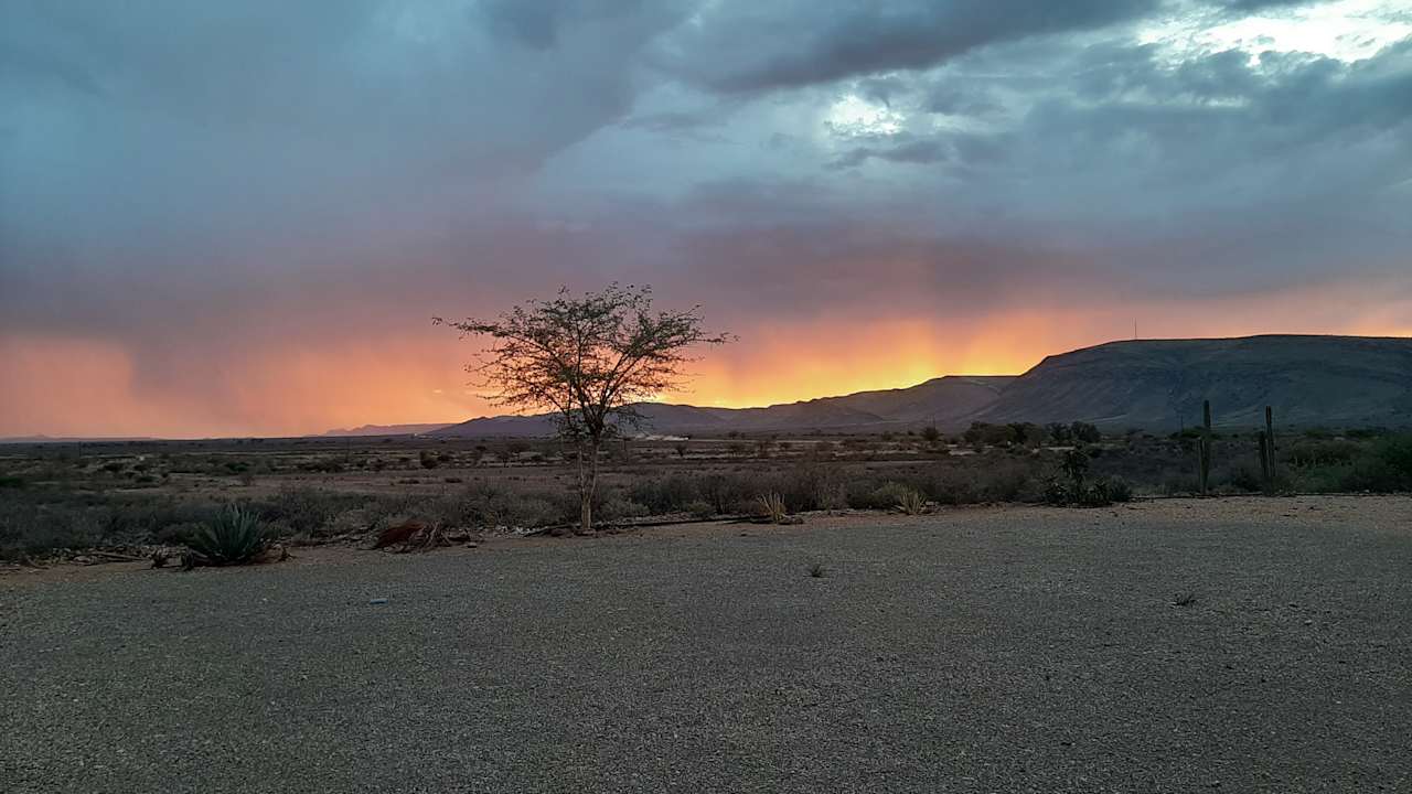 Sonstiges Tismaree Guestfarm