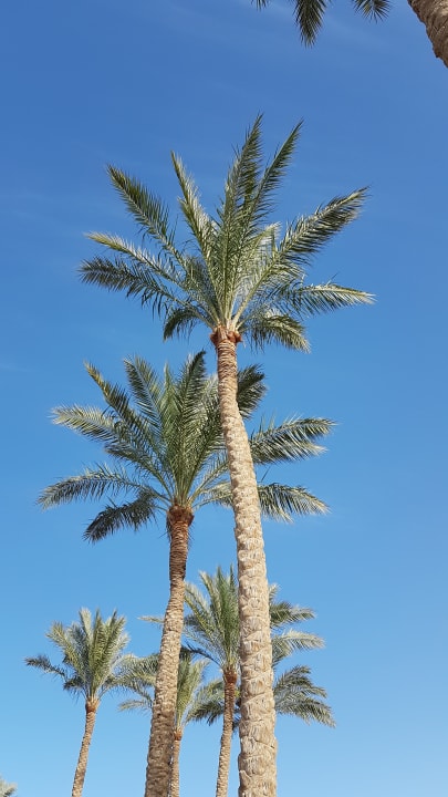 Außenansicht Cleopatra Luxury Resort Makadi Bay