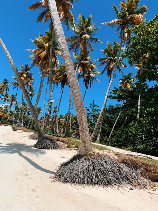 Strand Wyndham Alltra Samana