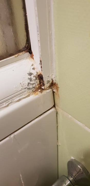 Zimmer Hotel Orfeus Park