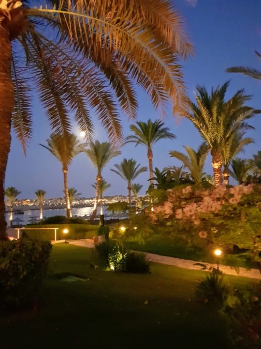 Gartenanlage Steigenberger Coraya Beach - Adults only