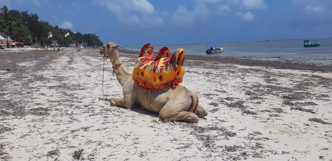 Strand Kahama Hotel Mombasa