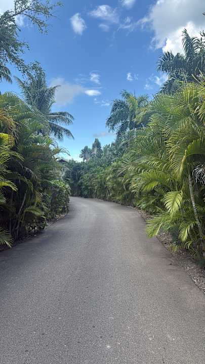 Gartenanlage Dreams La Romana Resort & Spa