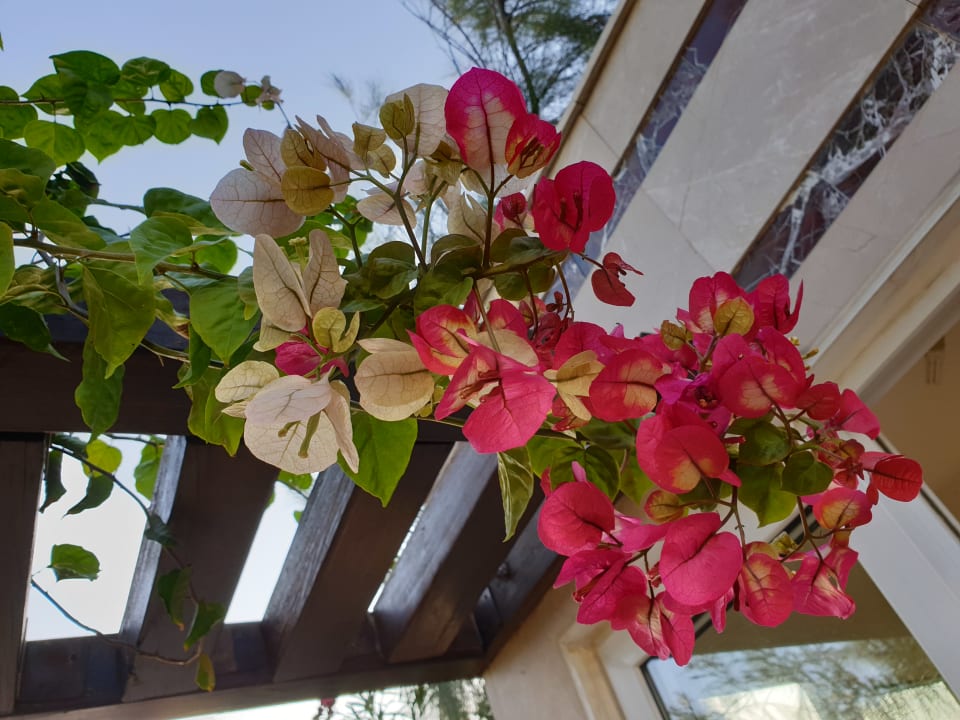 Gartenanlage Sunis Evren Beach Resort Hotel & Spa