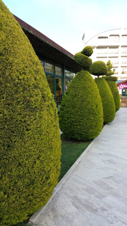 Schön Grand Seker Hotel