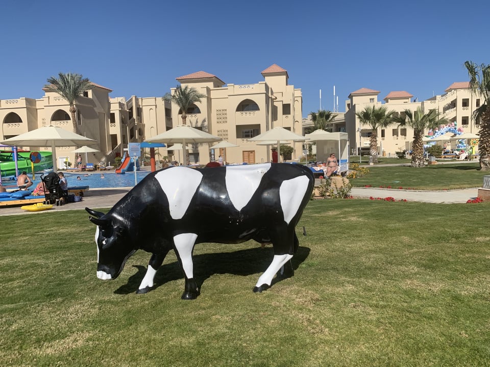 Gartenanlage Pickalbatros Aqua Blu Resort - Hurghada