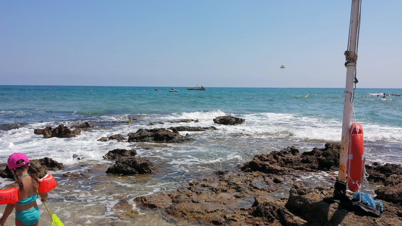 Strand ein Stück nach links Cactus Royal