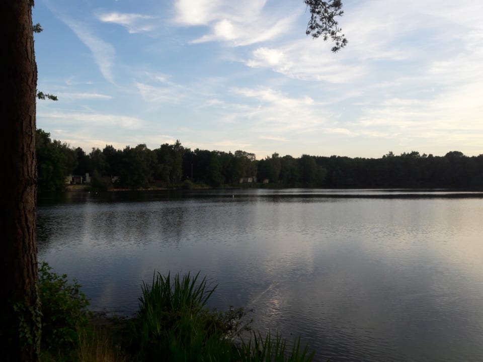 Ausblick Center Parcs Het Meerdal