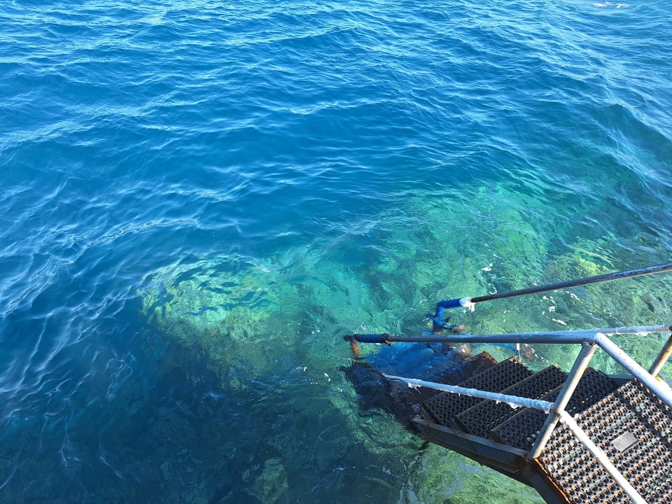 Strand Serenity Alpha Beach