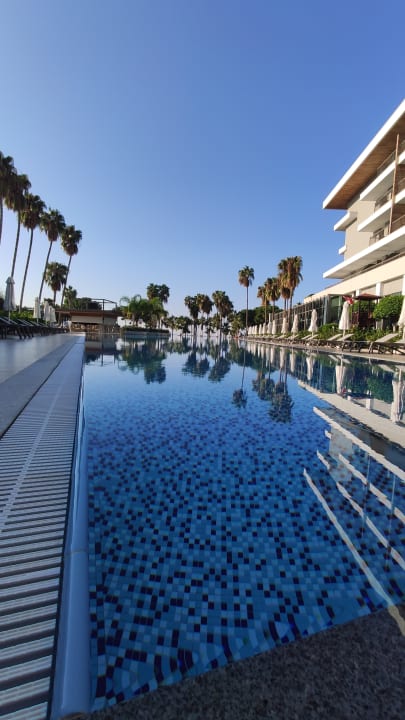 Pool Acanthus Cennet Barut Collection