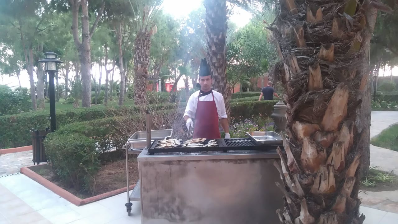 Es wurde gegrillt Club Turtas Beach Hotel
